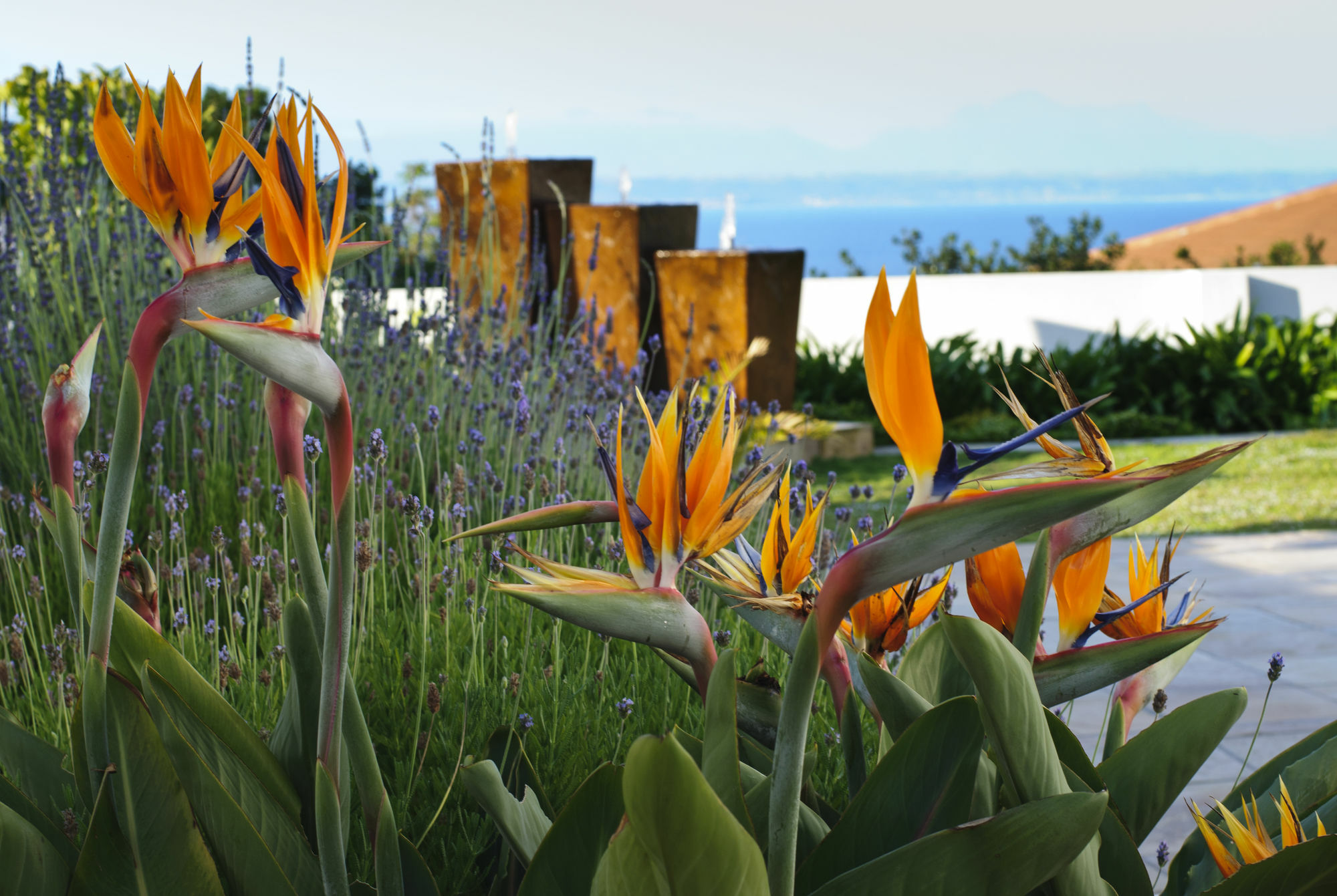 Aquamarine Guest House Mossel Bay Luaran gambar